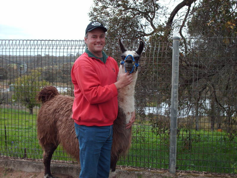 Date this fun Australia man Peter from Rockhampton AU233