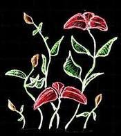 Date this charming United States girl Grace from New York City US6994