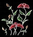 foxy United States girl Grace from New York City US6994