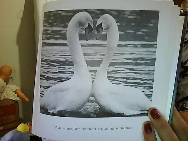 Date this good-looking Brazil girl Carlanara from Caldas Novas BR3641