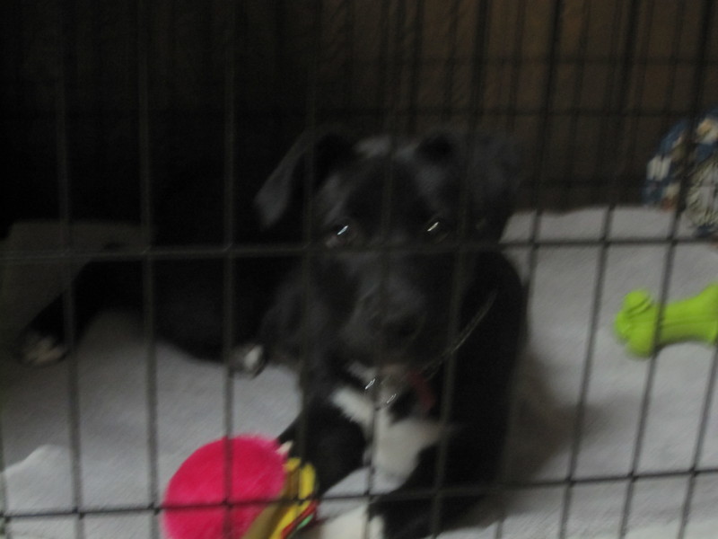 Date this gorgeous United States girl Flabra from San Diego US9259