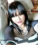 attractive Dominican Republic girl Chantal from Santo Domingo DO22542