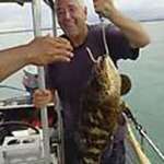 athletic Venezuela man Dana from Reno US17682