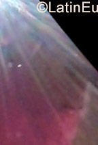 Date this charming Colombia girl Kari from Santa Marta CO23636